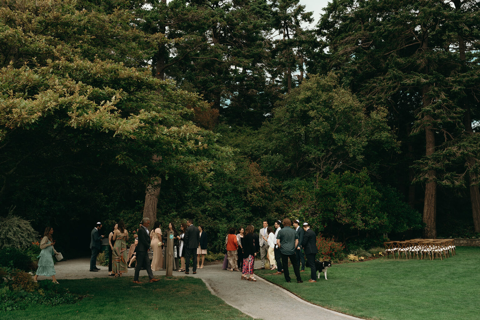Saxe Point Dreamy & Affordable Vancouver Island Wedding Venues